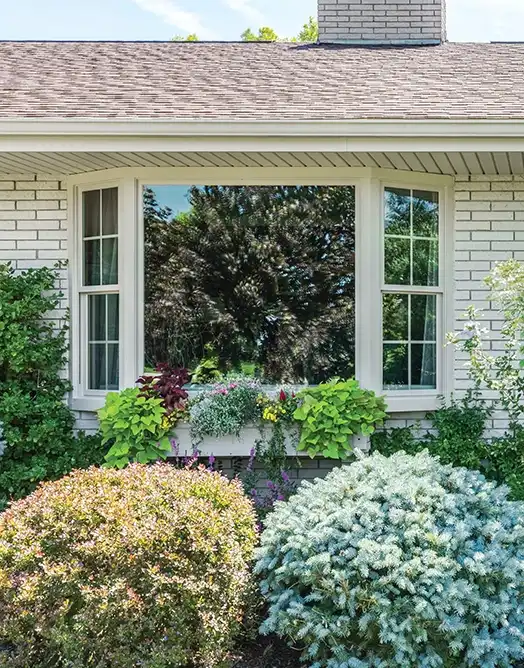 Bay and Bow Windows